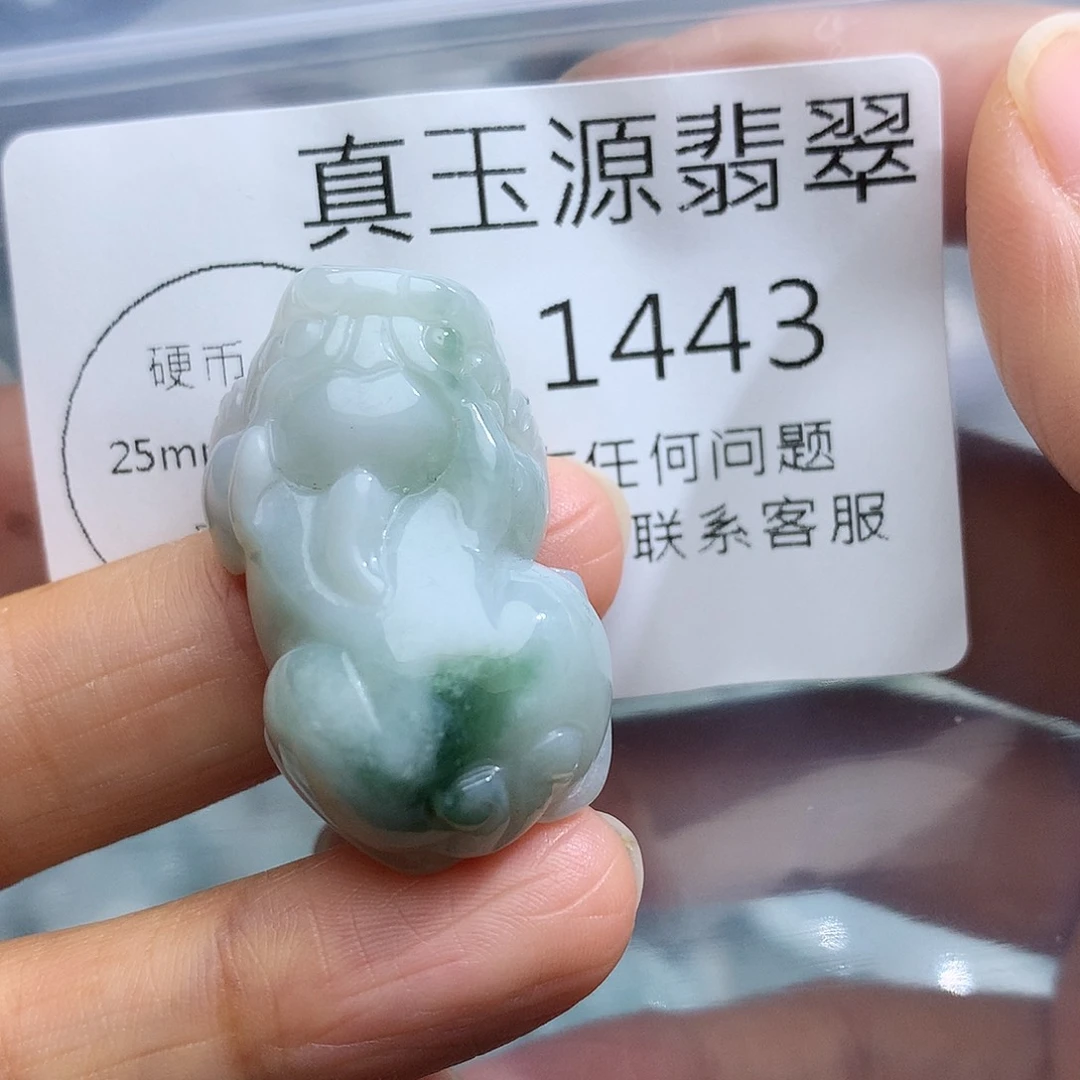 颈饰未镶嵌翡翠1443