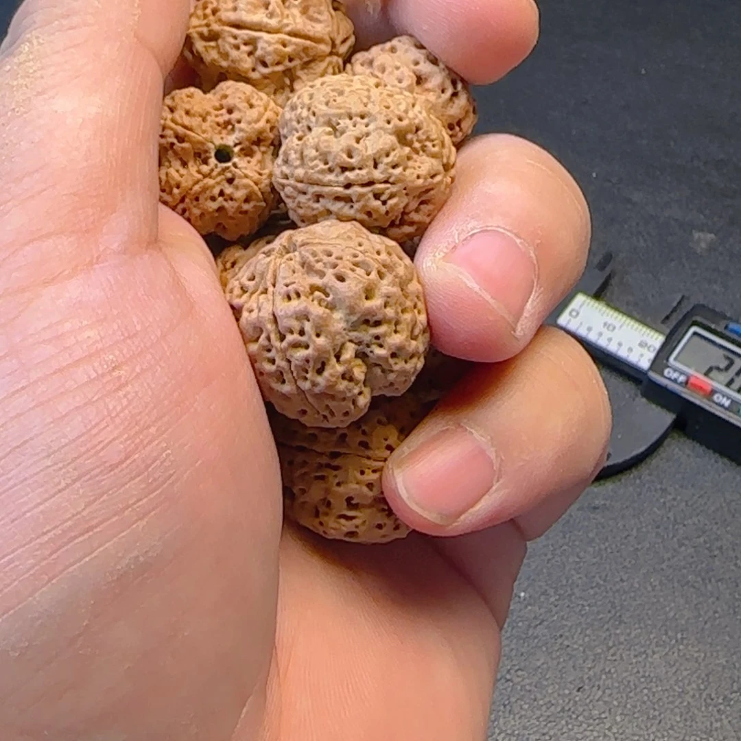 金刚菩提手串罗*哥20尺寸4掰19颗金刚菩提