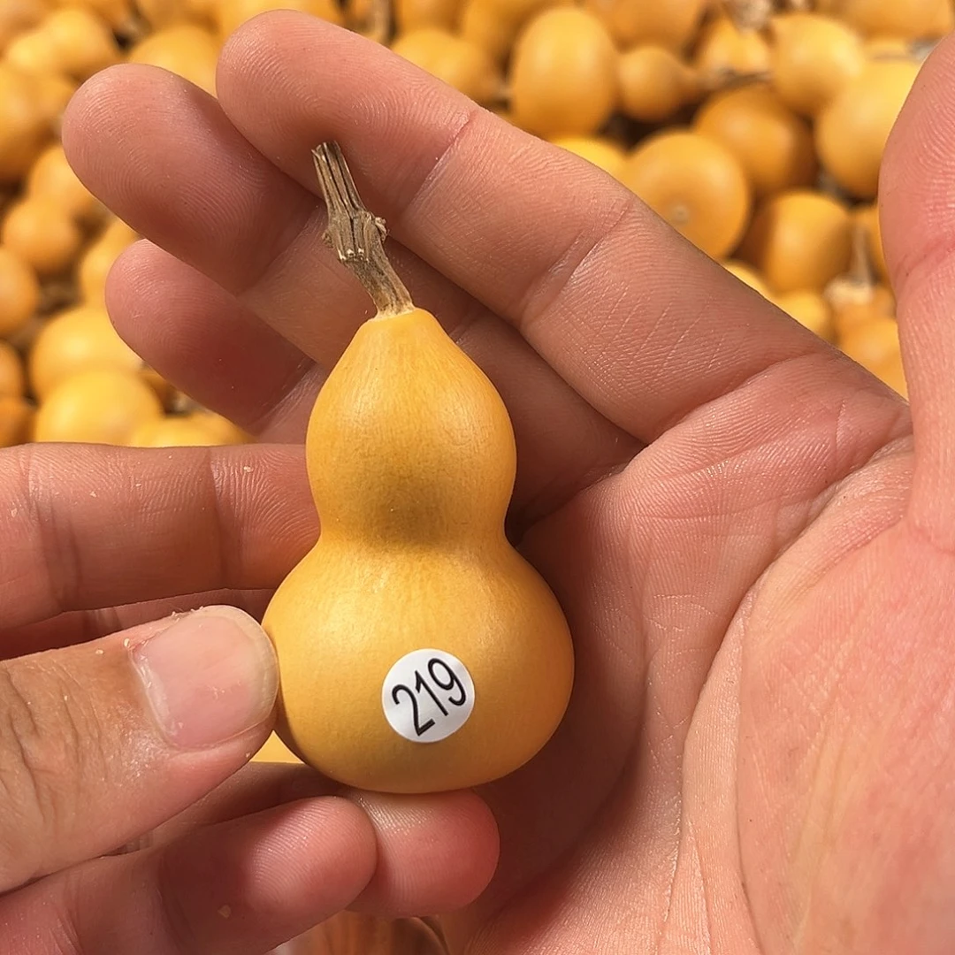 四葫芦葫芦葫芦葫芦219