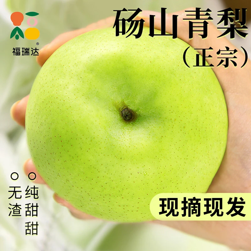 福瑞达正宗砀山青梨应当季水果新鲜现摘现发香甜多汁整箱雪梨包邮