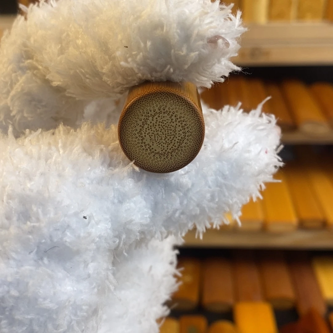 竹实心玉竹 一物一图