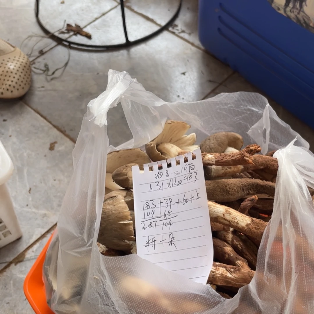 泡***尚直播间代购一对一挑选，看清楚再下单不售后中国大陆