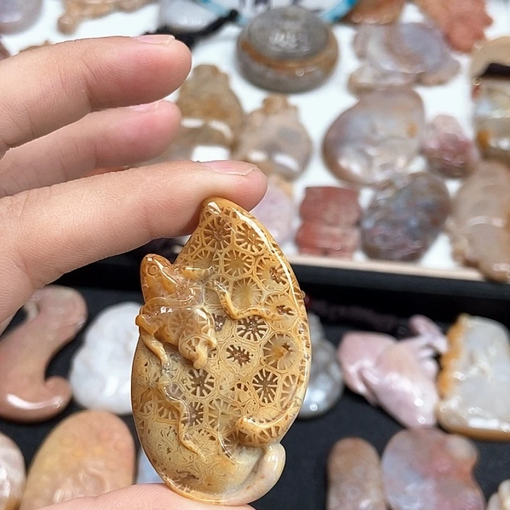 颈饰未镶嵌硅化珊瑚（珊瑚玉）