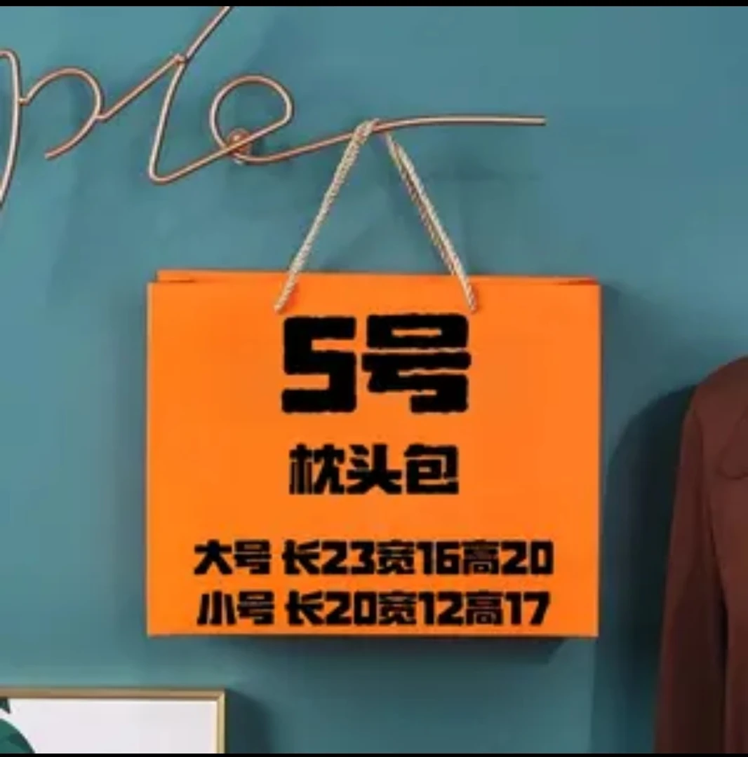 【5号】AA2025新款轻奢百搭洋气枕头包 A6507-12