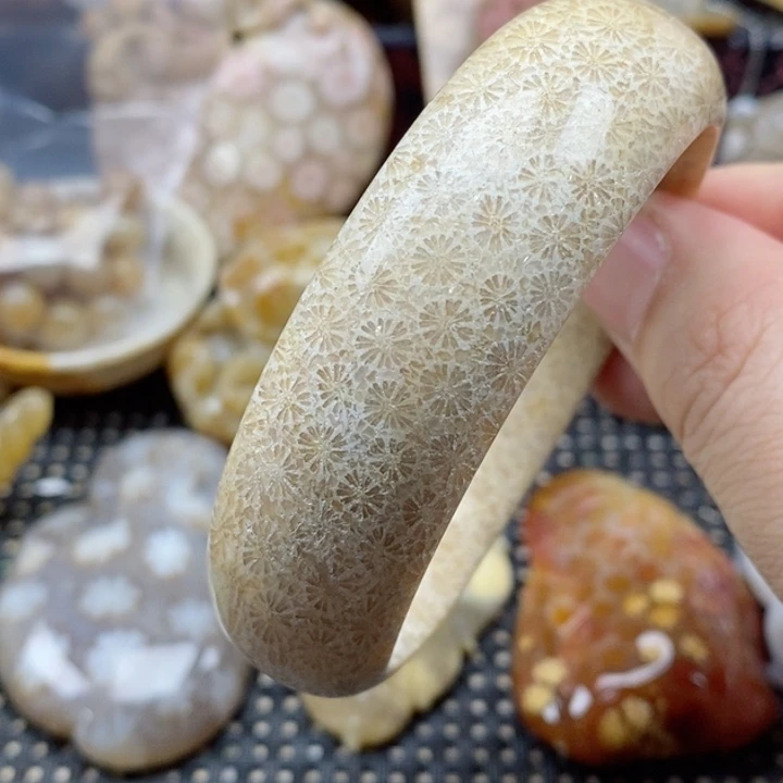 硅化珊瑚（珊瑚玉）颈饰未镶嵌