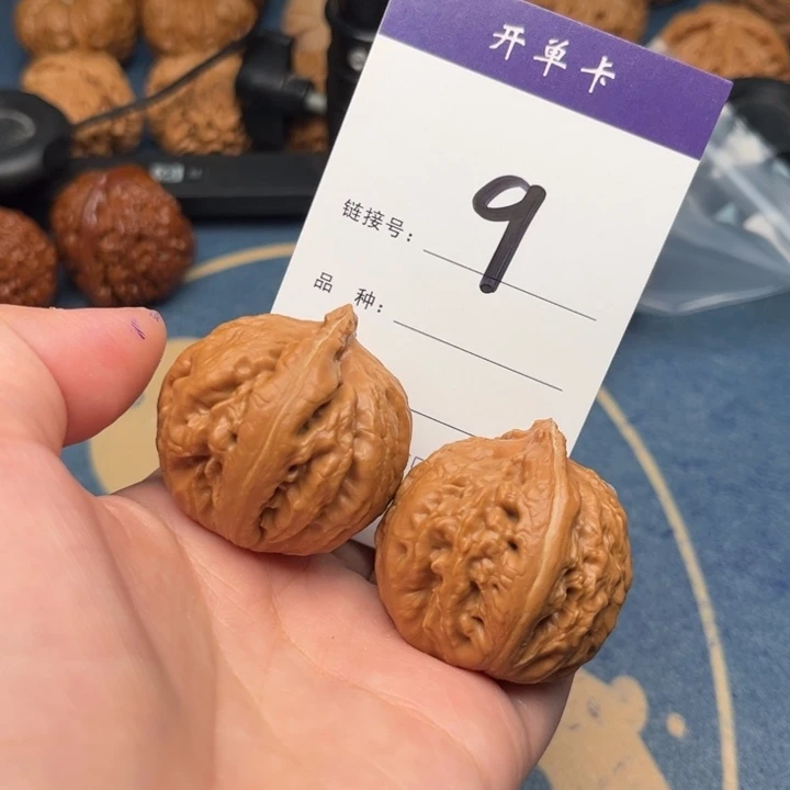 吊坠文玩核桃人****霸王龙 37全品 9