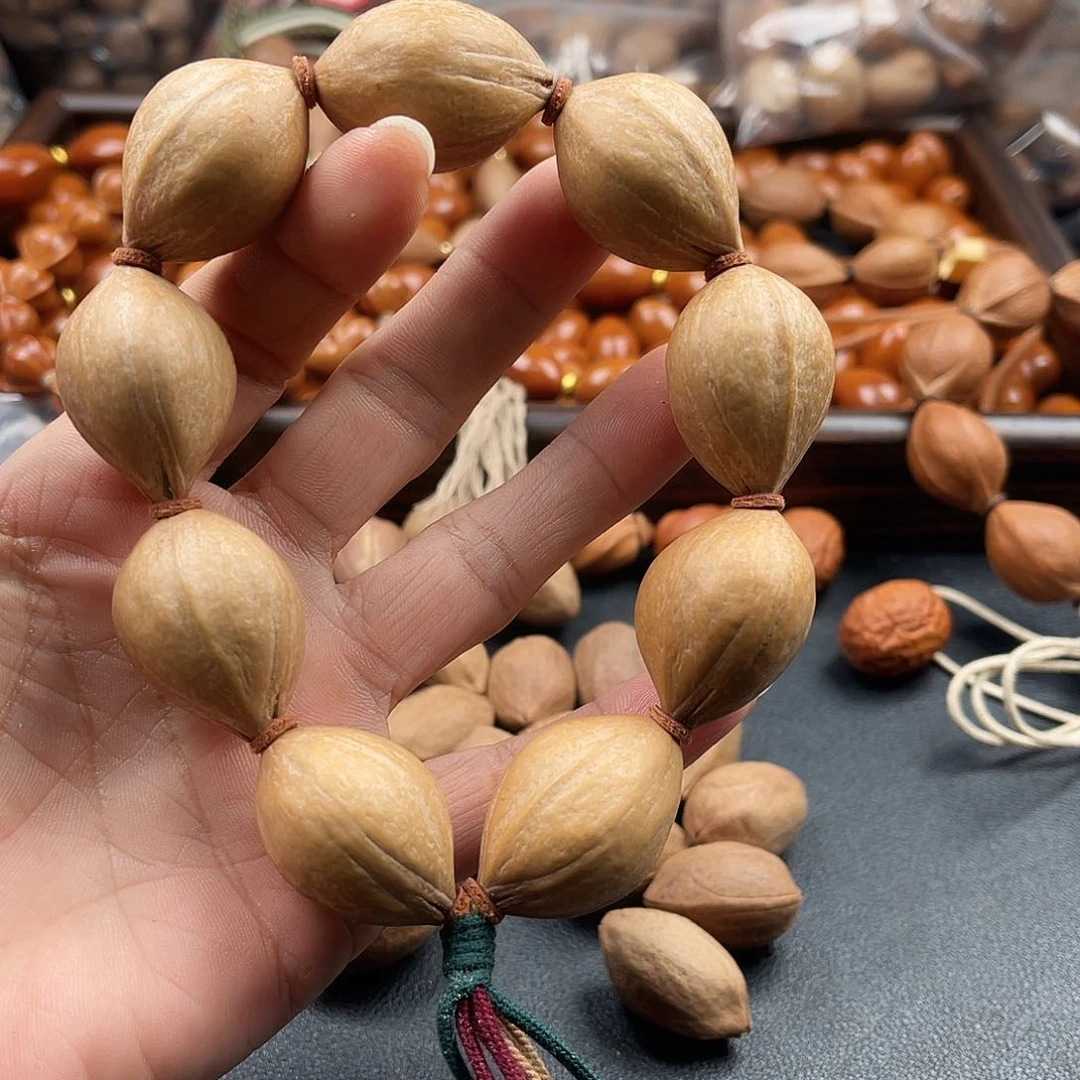 吊坠龙脊菩提橄榄树等植物