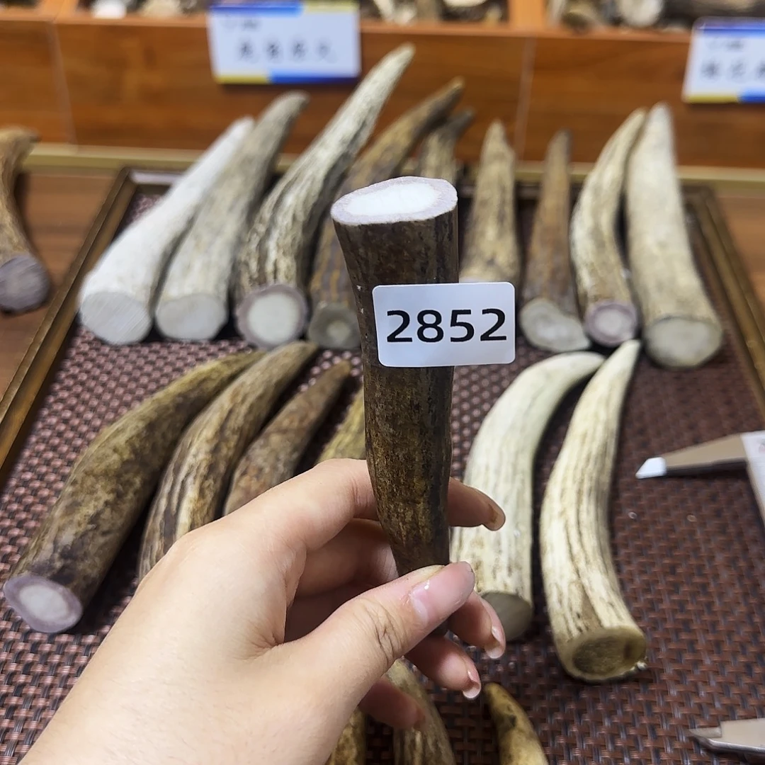 鹿骨手串/手链角尖2852