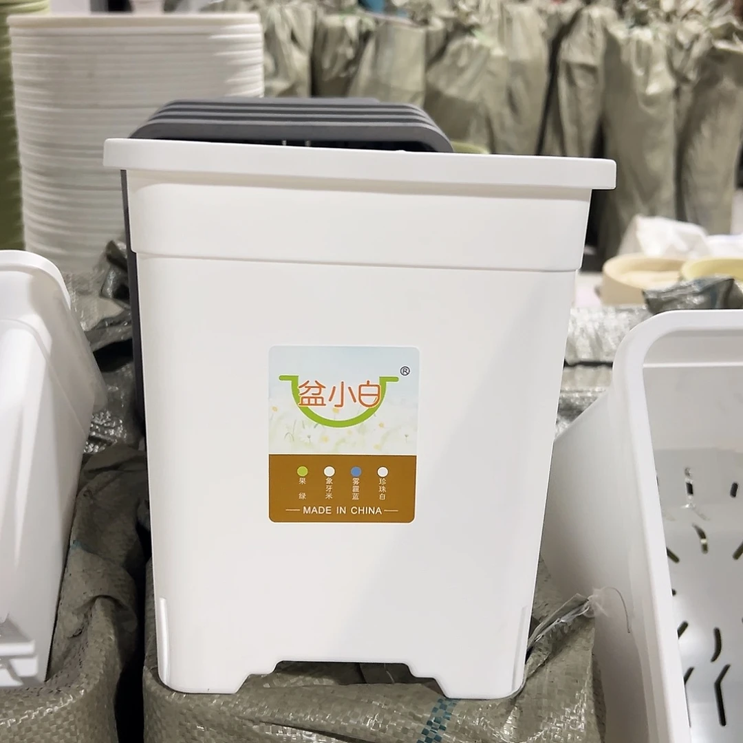 树脂方2号白5个无托