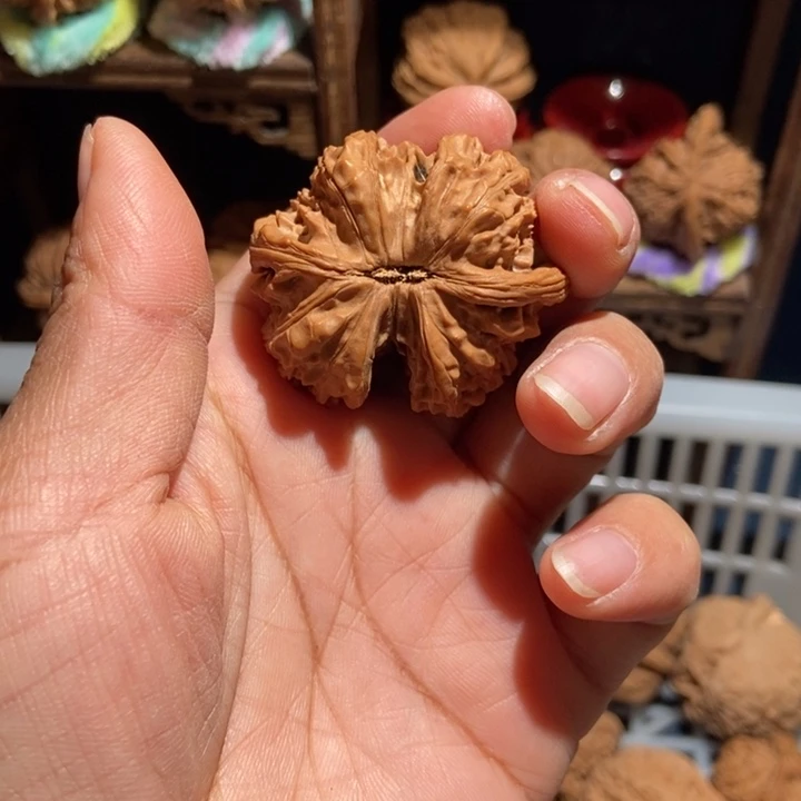 放***牛核桃白狮子连体尺寸43全品