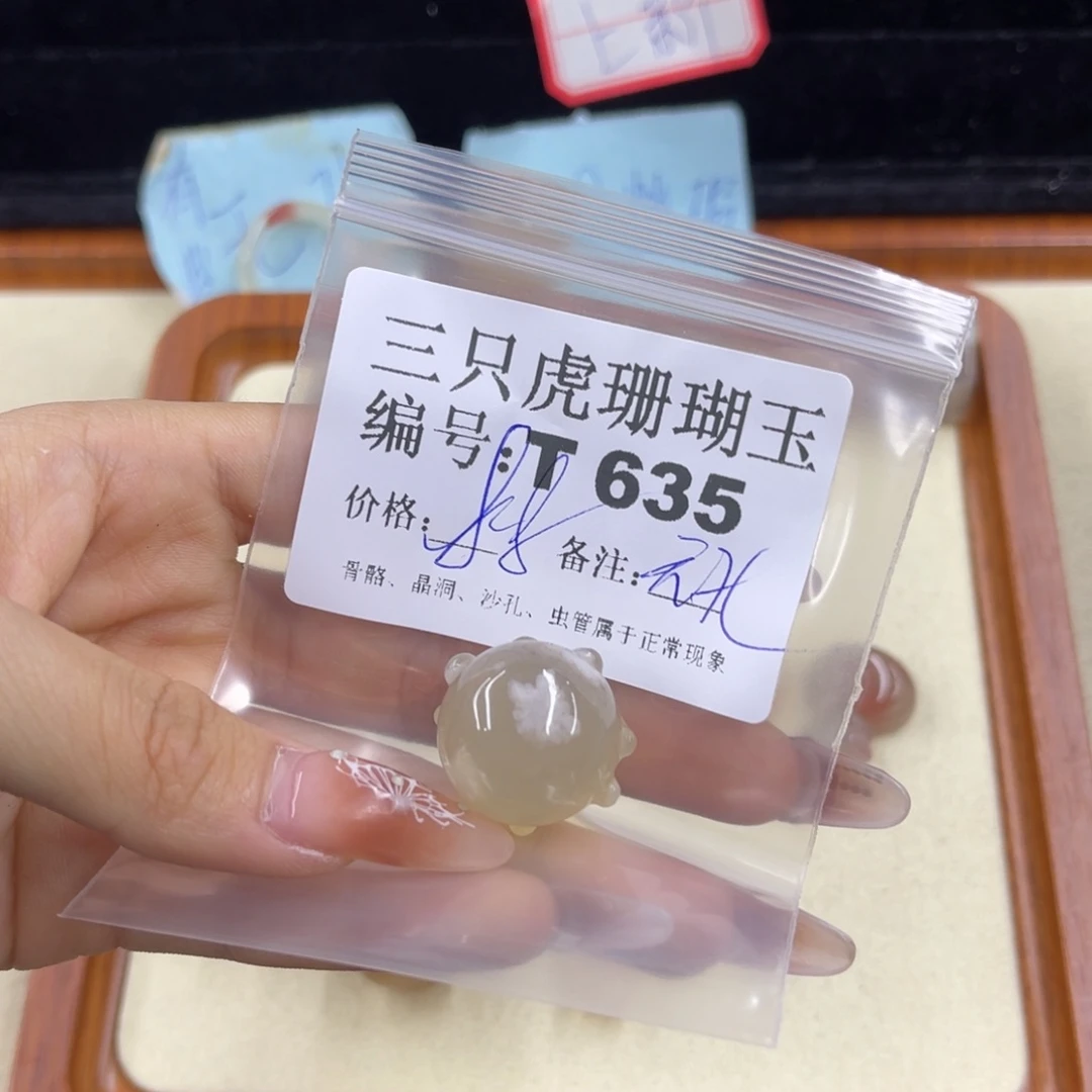 小***兔硅化珊瑚（珊瑚玉）h未镶嵌