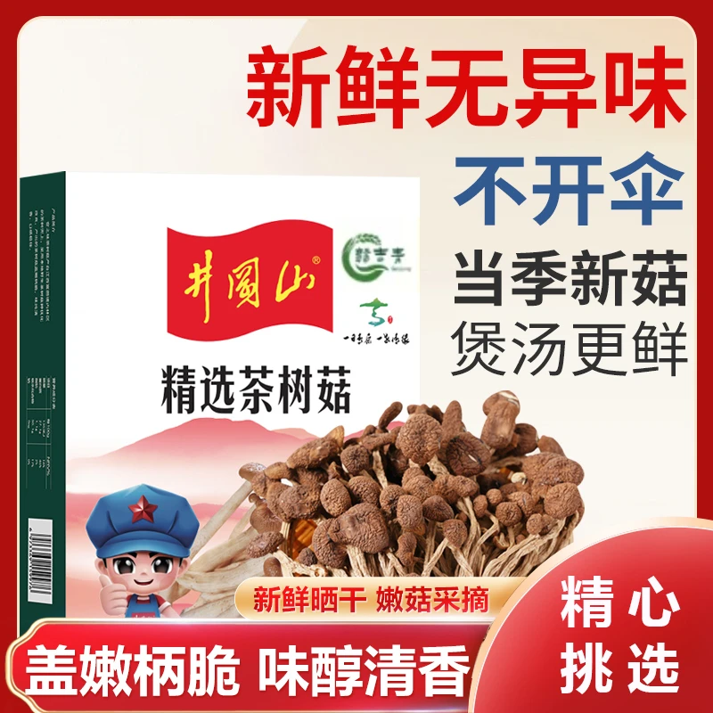 江西井冈CS01不开伞茶树菇煲汤炖汤红烧鲜嫩味浓