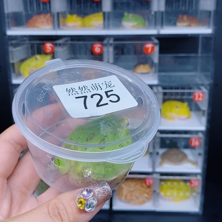角蛙恭喜发财大吉大利