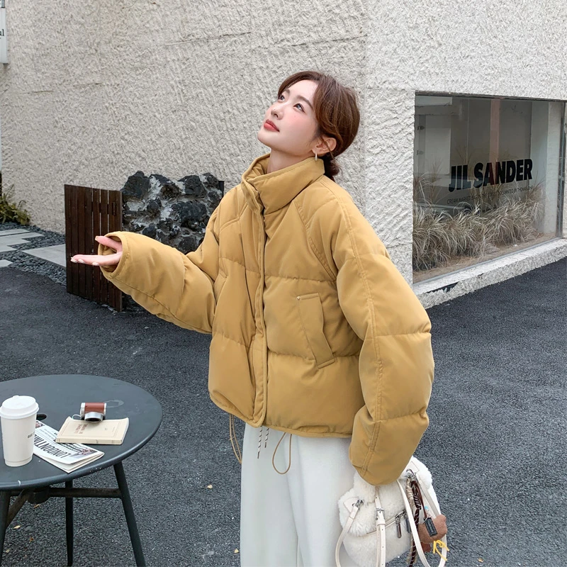 短款时尚立领加厚羽绒服2025冬季新款韩系ins风保暖白鸭绒面包服