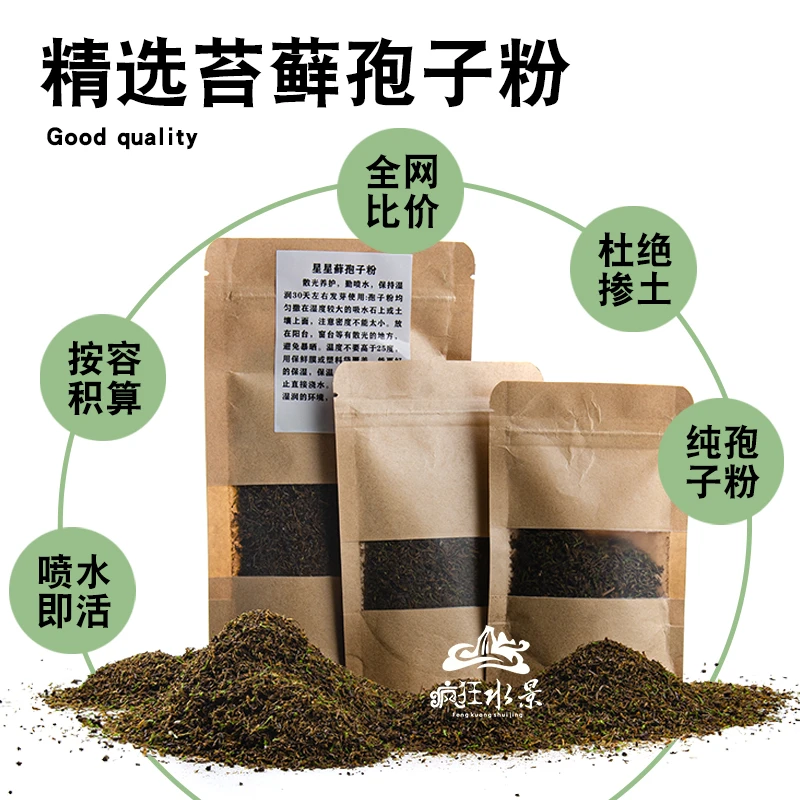 苔藓种子上水石盆景铺面青苔孢子粉景观苔藓孢子粉种子青苔藓种子
