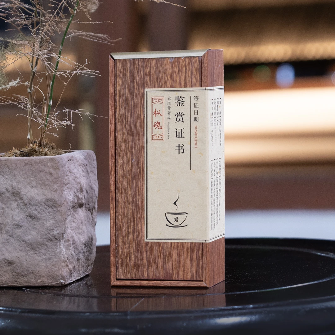 君九思《枞魂》 云崖骨老枞