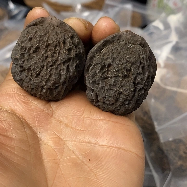 核桃云南铁核桃基地68