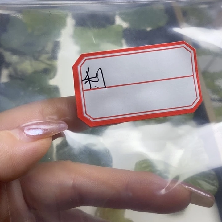 未镶嵌蛇纹石玉颈饰利**义