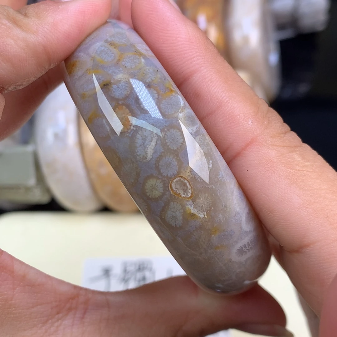 【闪购商品】颈饰未镶嵌硅化珊瑚（珊瑚玉）上新57圈（17号）
