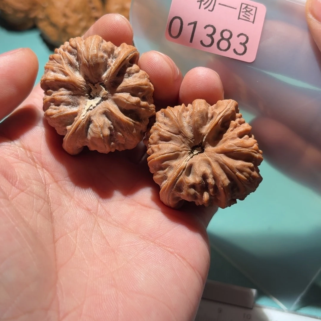 文玩核桃把件平谷奥迪