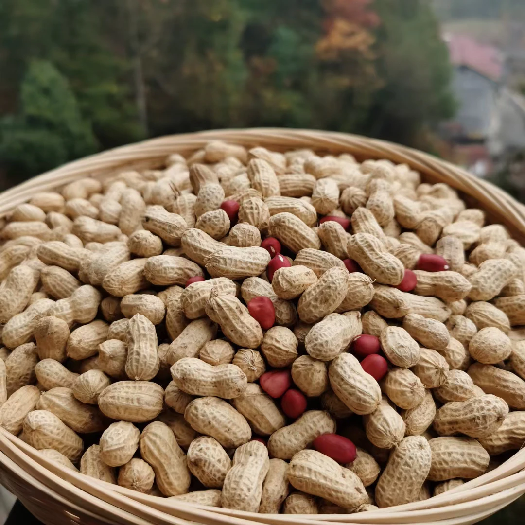 酸辣藠头开胃小菜安化特产