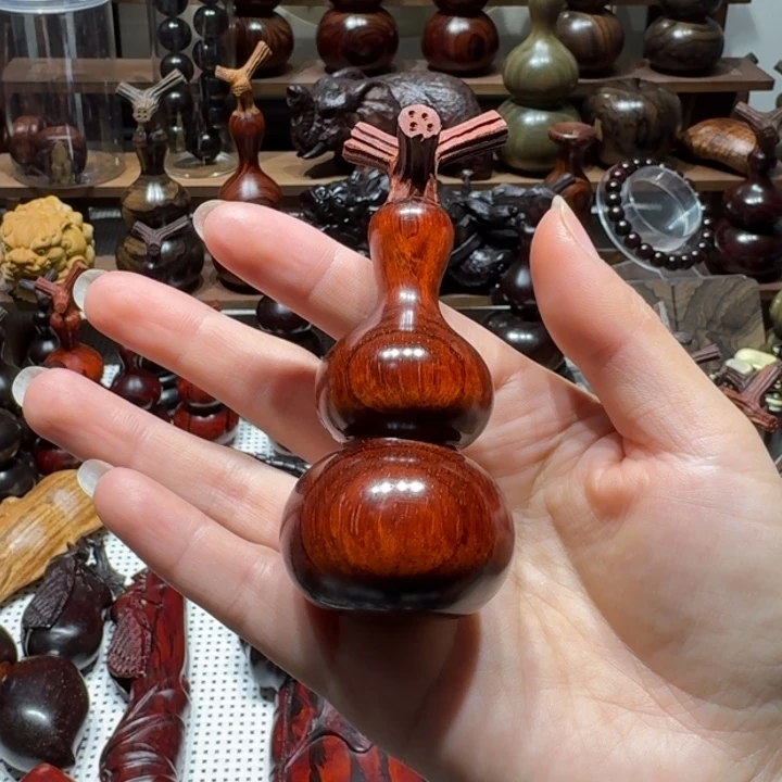 木东非小叶葫芦4.直径