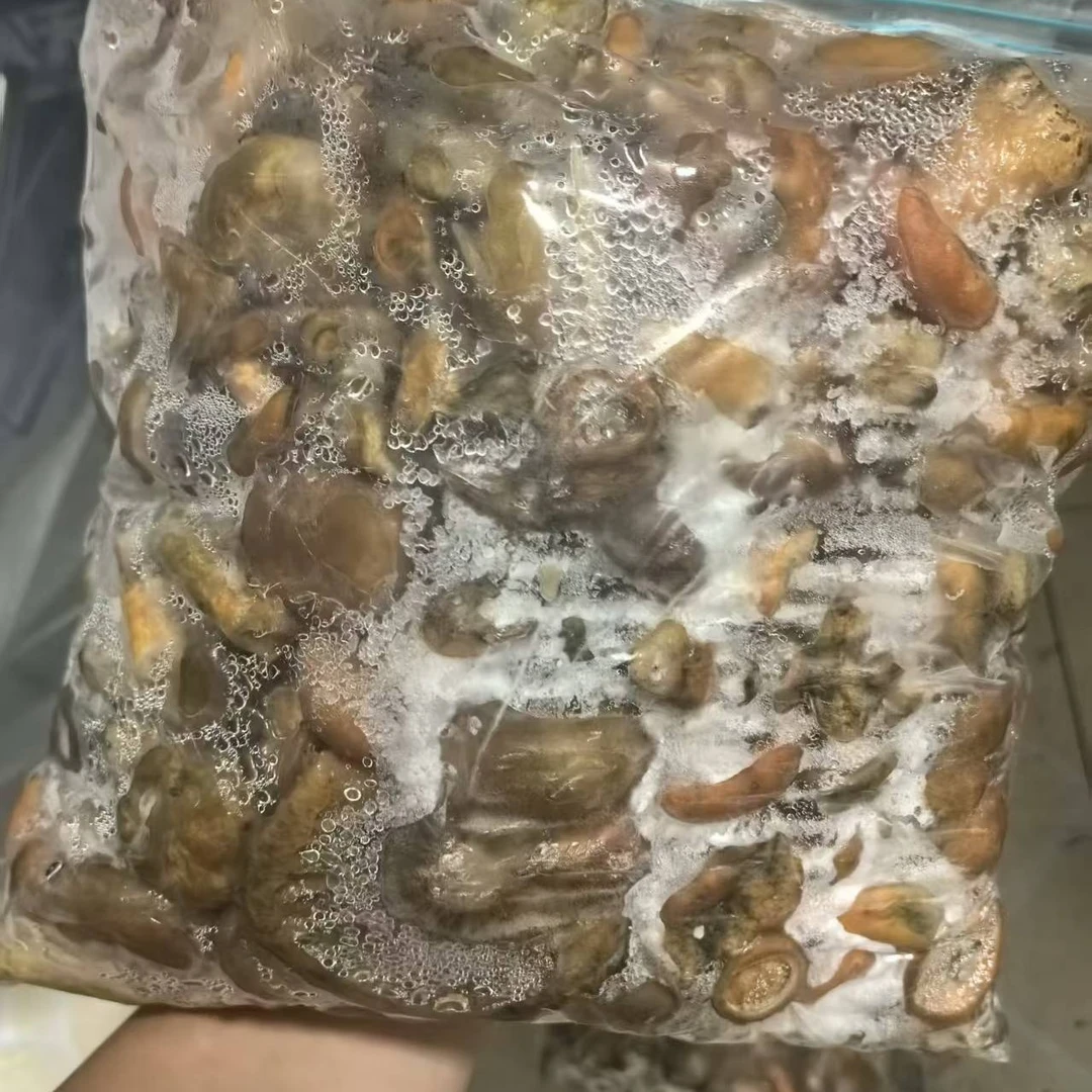 新鲜大小混装寒菌洗好袋装(不支持7天无理由退货)