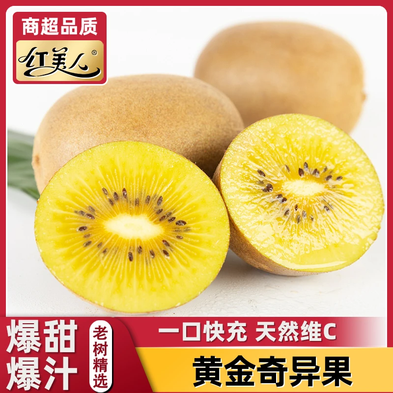 【放软食用】黄金奇异果当季现摘现发新鲜黄心正宗猕猴桃软糯香甜1