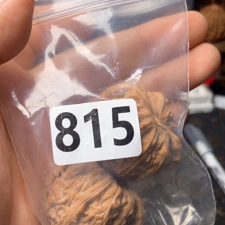 文玩核桃吊坠*️****白狮子