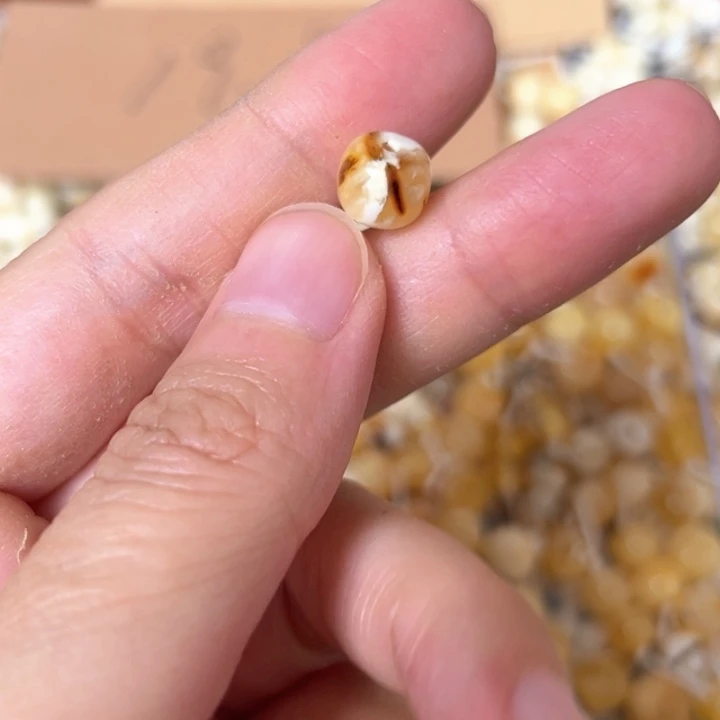 蜜蜡未镶嵌裸石8.3mm一个