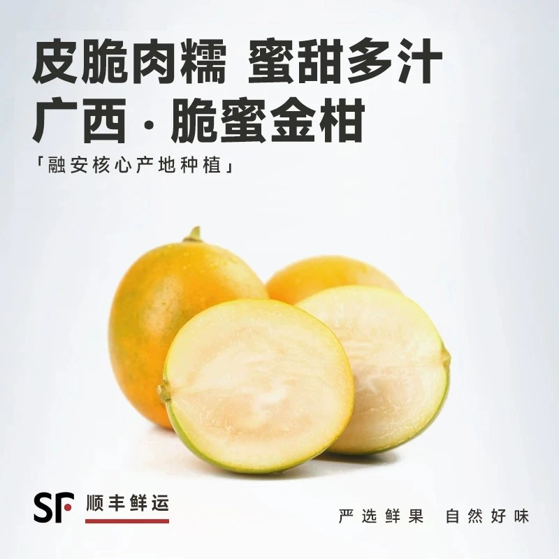 融安脆蜜金桔纯甜【果王】