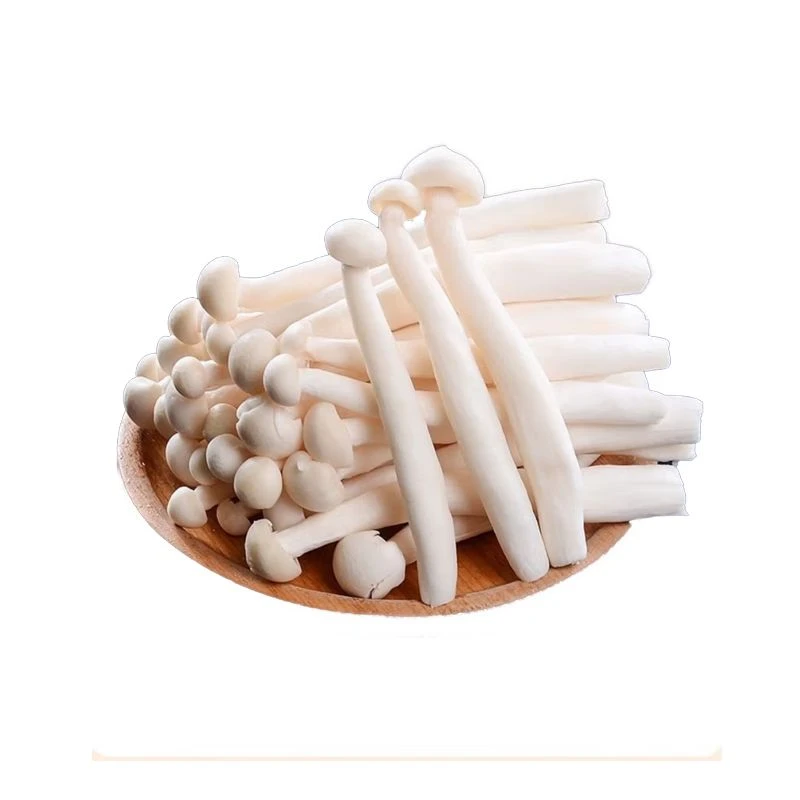 白玉菇 约125g/份新鲜