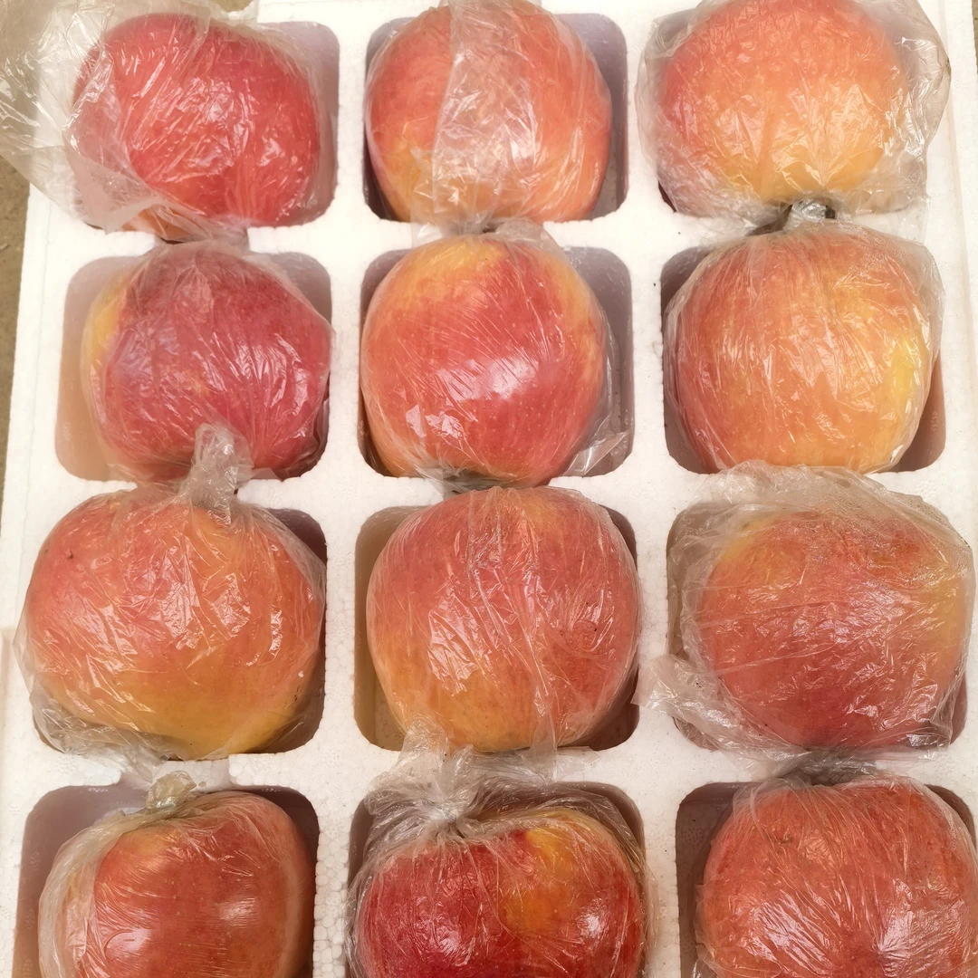 正宗大沙河红富士爆汁丑苹果新鲜采摘水果果园直发包邮冰糖心苹果