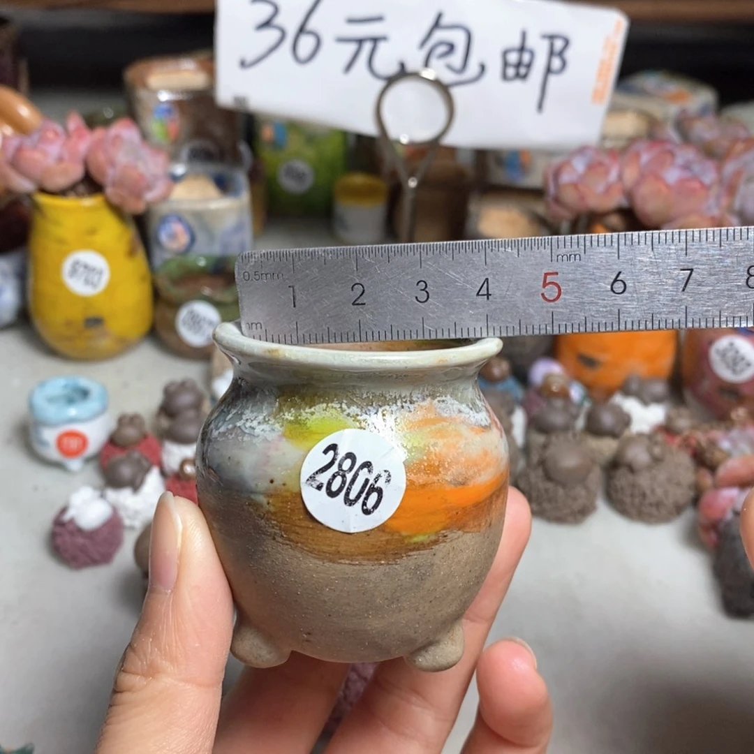 拍5送一个小礼物