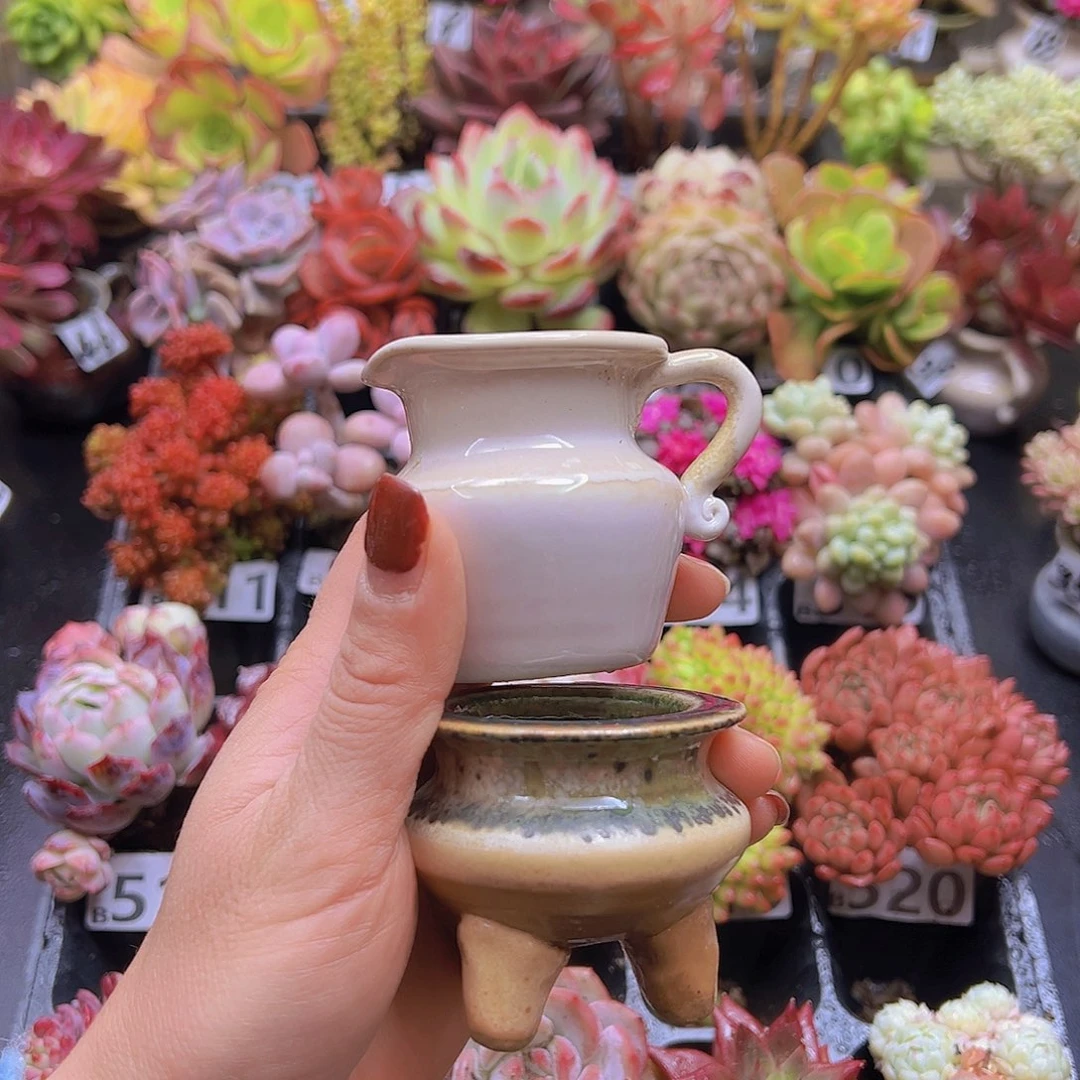 无铅玻璃橙**i花钱花钱花钱花钱花钱