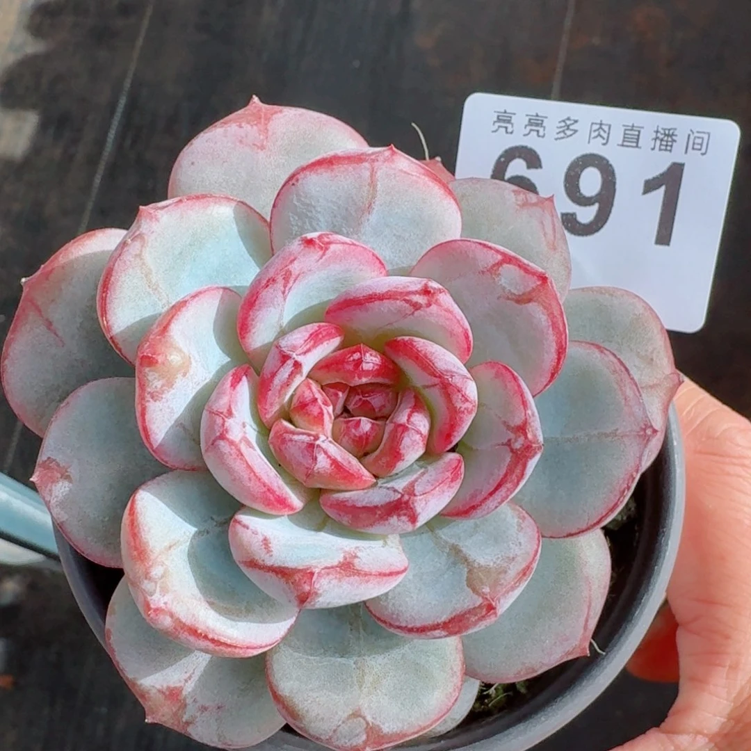 长相思      愿你一路坦途，乘风破浪展宏图