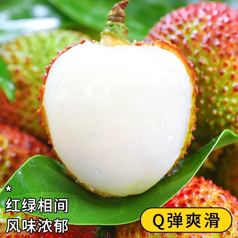 【顺丰包邮】妃子笑荔枝 新鲜采摘空运到仓 头茬妃子笑 1/3/5斤装荔枝同城送海南省