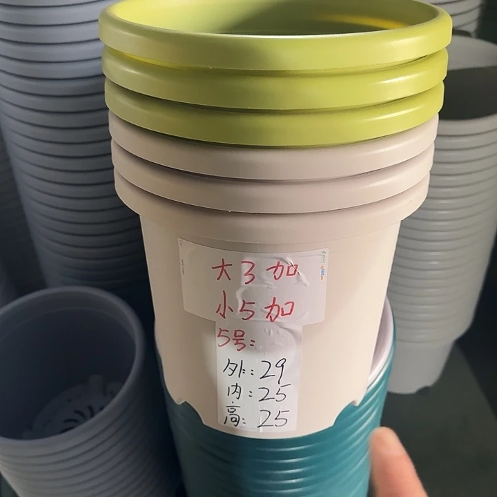 四季5#口径29灰白5个无托