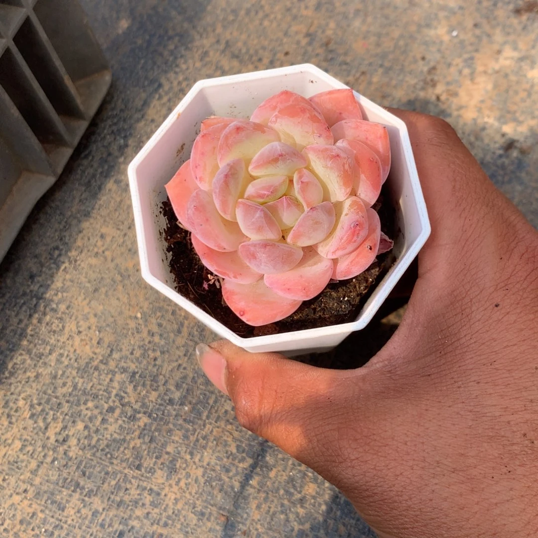 我们就能成为好老师和