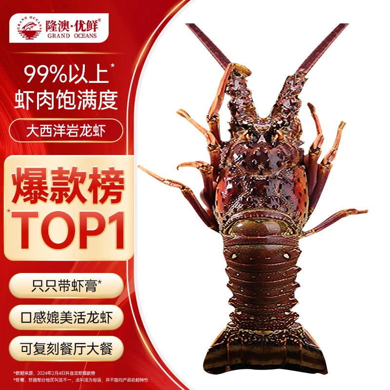 【1.7-4.4 斤】隆澳优鲜 大西洋岩龙虾     DR