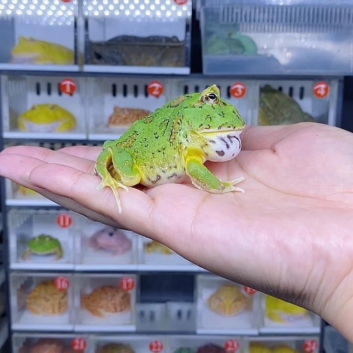 特价秒杀特价原价