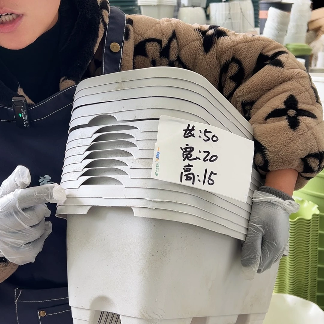 瑕疵菜盆长50#灰白色6个无托