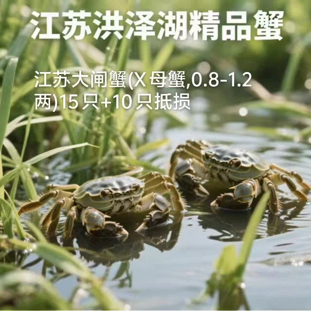 洪泽湖精品蟹(X母蟹,1.0-1.2两)15只+10只抵损海鲜