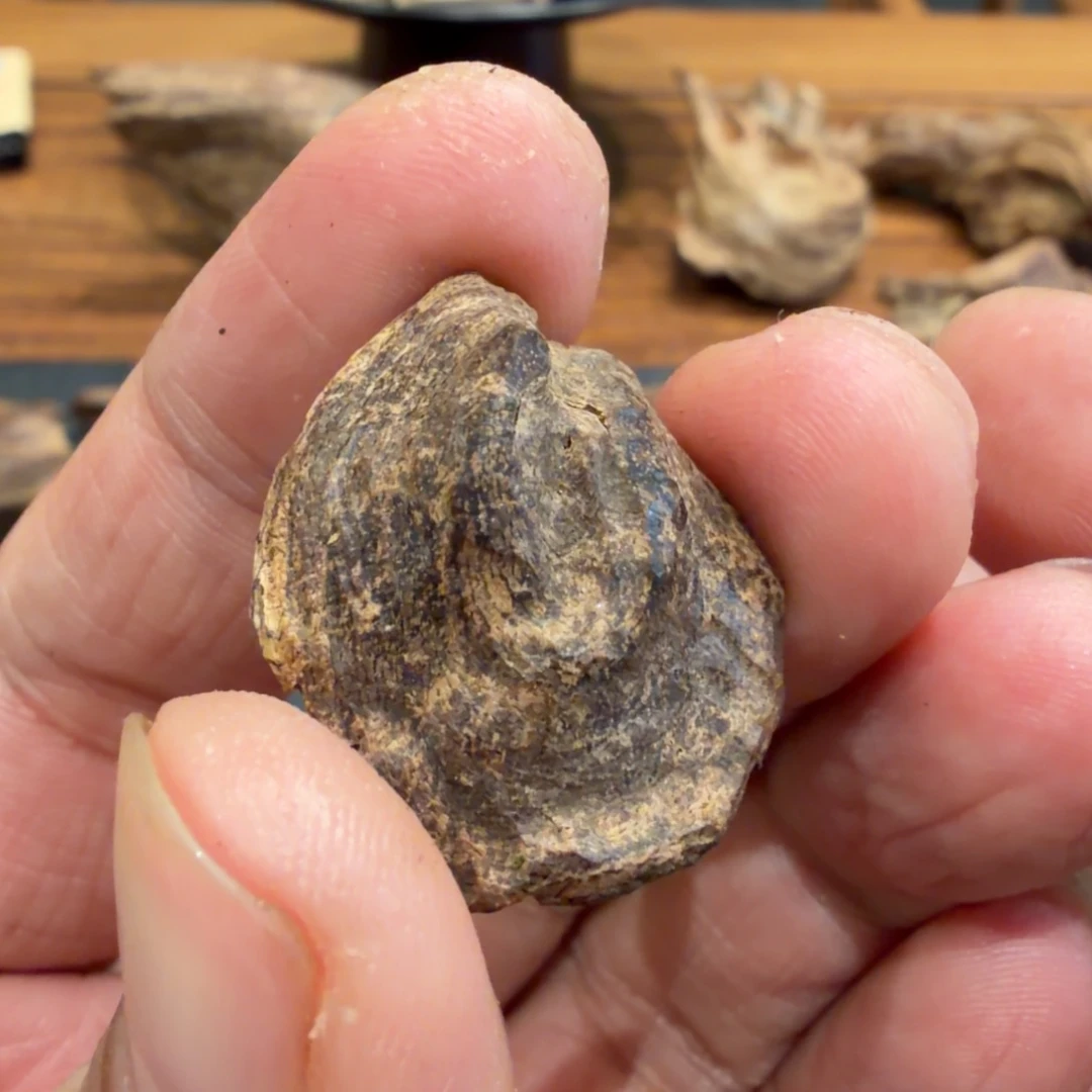 树脂制品海南老料沉水 1.73 克