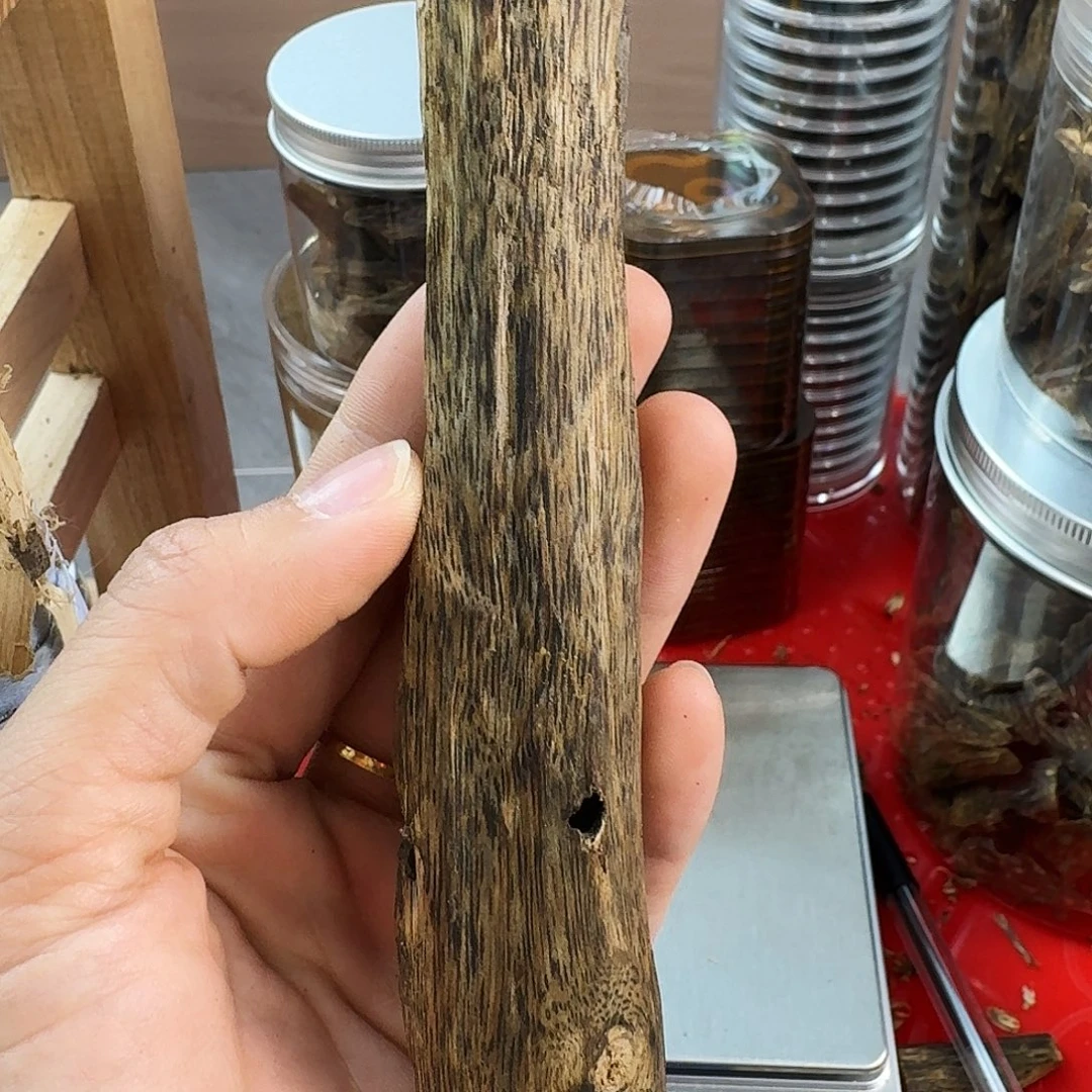 香料绿奇楠虫漏乌身圆叶29克