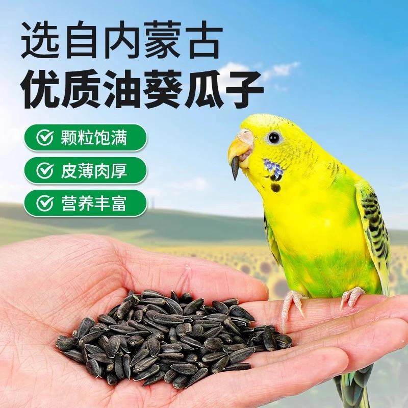鹦鹉饲料小瓜子油葵虎皮玄凤牡丹吃的鸟粮食物训练奖励小零食用品