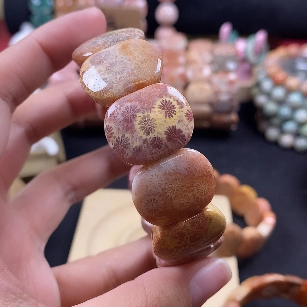 蒲***蒲硅化珊瑚（珊瑚玉）未镶嵌手牌
