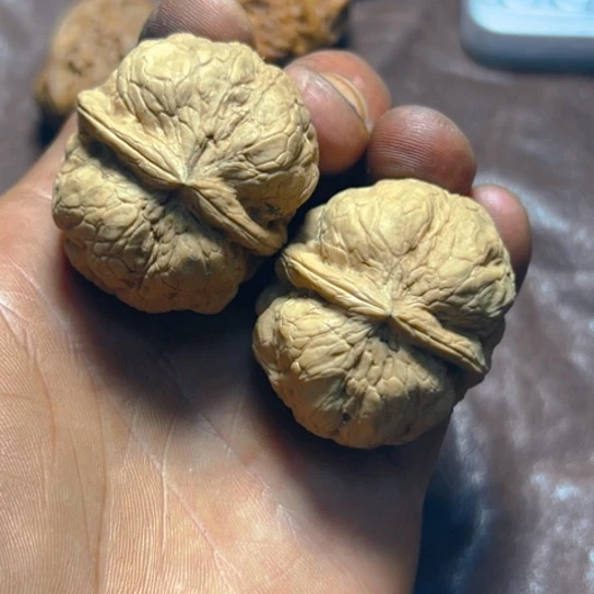 把件文玩核桃卡41金蟾疙瘩包28号
