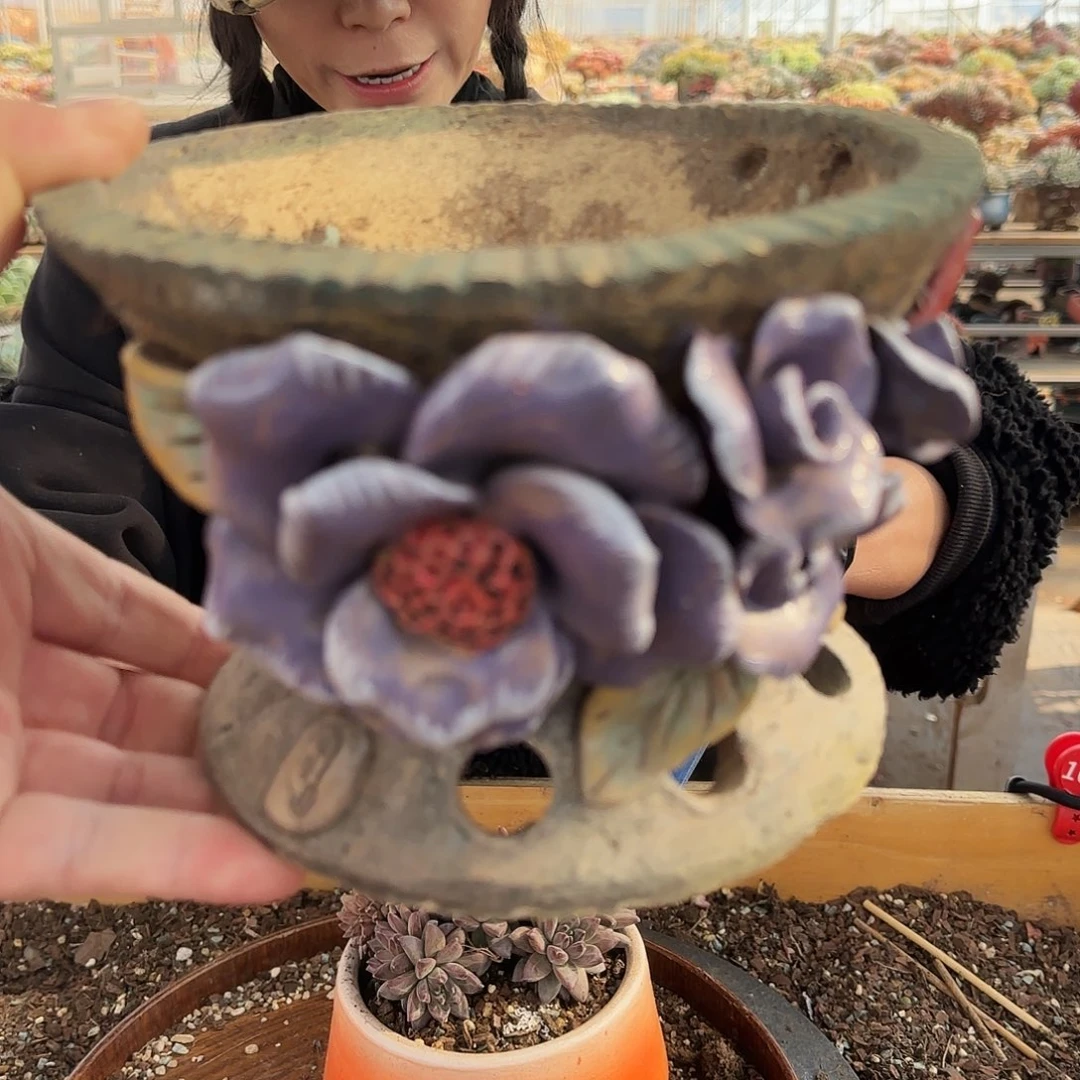 春*春夏，盆58          瑕盆