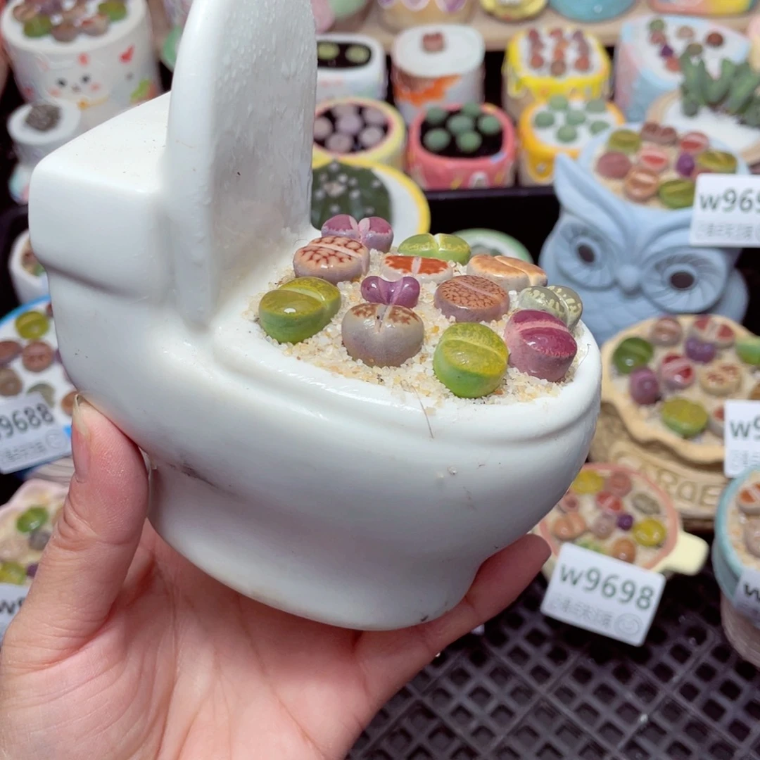 w9700 -零下地区拍保温箱-15支持寄养